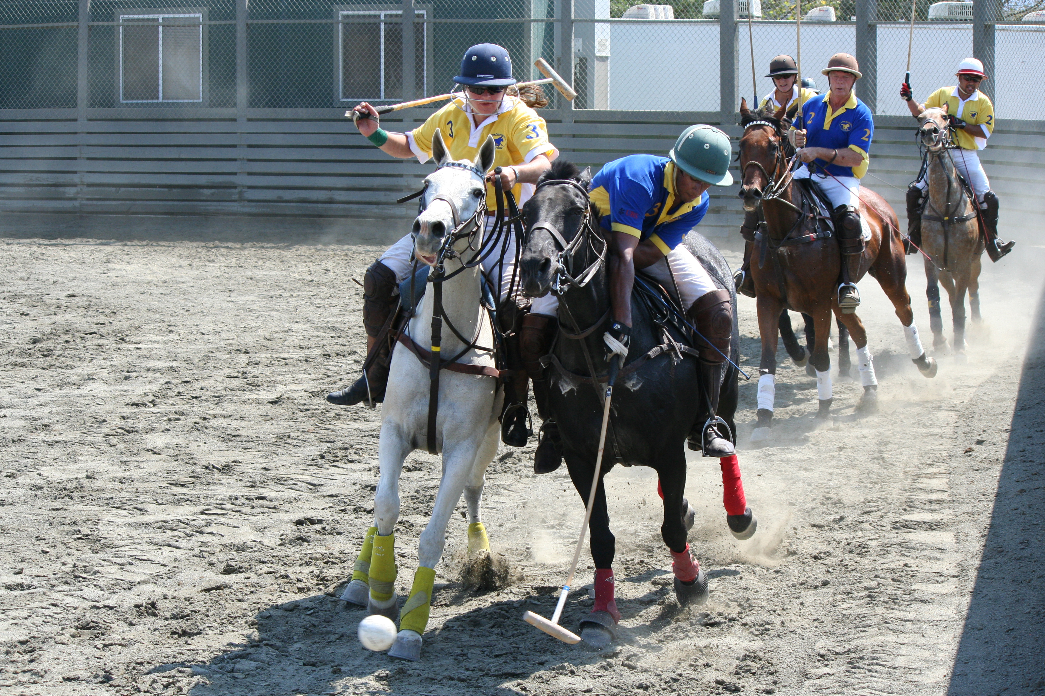 Founder's Cup 2011
